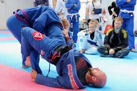 Image result for Unity School Of Jiu Jitsu