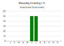 Attēlu rezultāti vaicājumam “Sciota fumella”