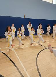 Image result for middlesbrough karate academy