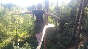 Image result for Go Ape! Alice Holt