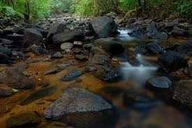 Image result for синхараджа