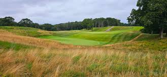 Image result for Plymouth Swallows Gc