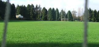Image result for Shamrocks Hurling & Football Club