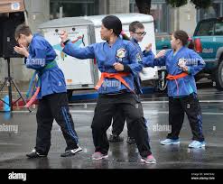 Image result for Kenpo Karate Club