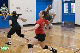 Image result for Edmonton Sports Club