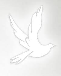 Image result for "scott liddell"