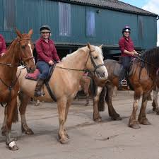 Image result for Beckwithshaw Badminton Club