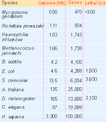 Image result for genome sizes