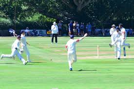 Image result for Mayfield Cricket Club
