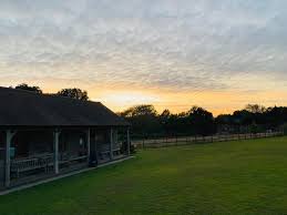 Image result for Lynchmere Cricket Club