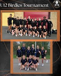 Image result for Leighton Buzzard (Beds) Netball Club