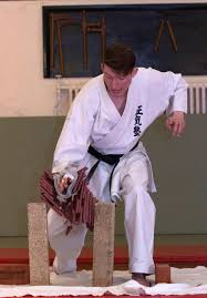 Image result for Seiki Juku Karate Club