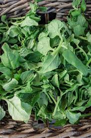 Image result for Neuseeländer Salat