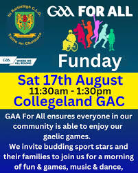 Image result for Collegeland O`rahillys Gaelic Football Club