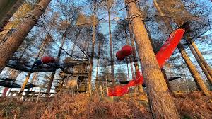 Image result for Go Ape! Alice Holt