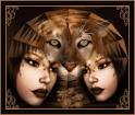 ladies & wild cat
