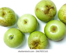 Attēlu rezultāti vaicājumam “Malus domestica fruit”