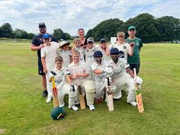 Image result for Henfield Cricket Club