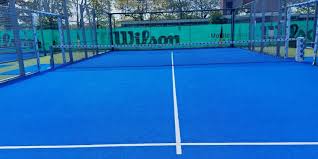 Image result for Lane Tennis Club Ltd