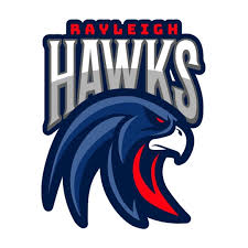 Image result for The Rayleigh Cricket Club