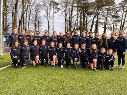 Image result for Ballyhegan Davitts Gaa Club