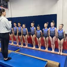 Image result for Elite Recreational Gymnastics Club