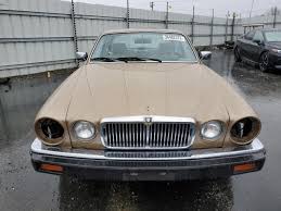 Image result for Antelope 1986 Jaguar