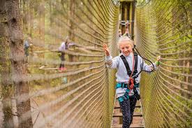 Image result for Go Ape! Moors Valley