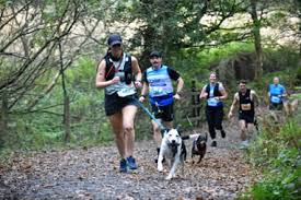 Image result for Tewkesbury Triathlon Club