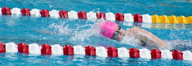 Image result for South Lincs Competitive Swimming Club