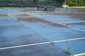 Image result for BrownMoor Park Tennis & Social Club