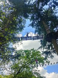 Image result for Go Ape! Thetford