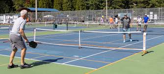 Image result for 1st New Forest Pickleball Club