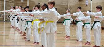 Image result for Harpenden JKA Karate Club