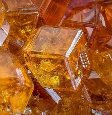 Attēlu rezultāti vaicājumam “Physarum oblatum stalked”