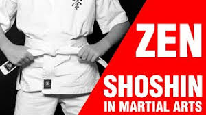 Image result for Zen Shin Seicho Do Adult Karate