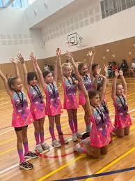 Image result for Dragons Junior Badminton Club