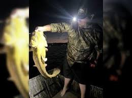 Image result for The Lancaster Fish