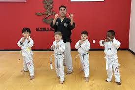 Image result for Ryusui-ryu Martial Arts School East Grinstead