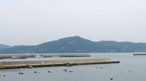 Image result for 耐震 大津波無力