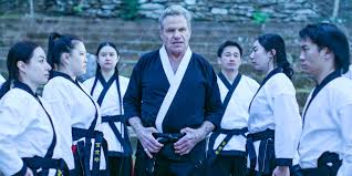 Image result for Cobra Karate Club