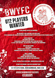 Image result for Borehamwood Crusaders