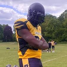 Image result for Chiltern Cheetahs American Football Club