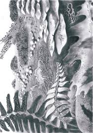 Attēlu rezultāti vaicājumam “Cribraria intricata young”