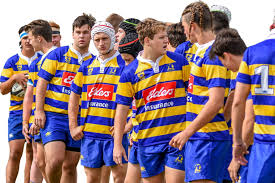 Image result for Hamilton Rugby Football Club