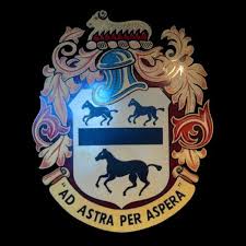 Image result for Colfeian Sports Club