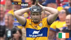 Image result for Clarehurlers