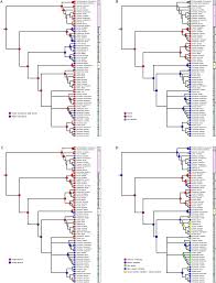 Attēlu rezultāti vaicājumam “Trichia scabra sessile”