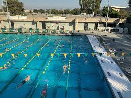 Image result for Hazel Grove & Bramhall Swimming Club