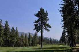 Image result for Durka Touch